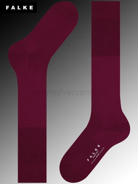 AIRPORT Falke Kniesocken für Herren - 8596 barolo