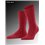 LHASA RIB Falke Socken für Männer - 8077 scarlet