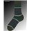 TINTED STRIPE Falke Socken für Herren - 7992 wald