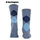 KING Burlington Herrensocken - 6664 turquoise