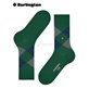 KING Burlington Herren-Socken - 7502 eucalyptus