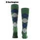 KING Burlington Herren-Kniestrümpfe - 7502 eucalyptus