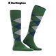 KING Burlington Kniesocken für Herren - 7502 eucalyptus