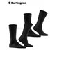 EVERYDAY UNI Burlington Socken für Herren - 3000 schwarz