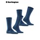 EVERYDAY UNI Burlington Socken für Herren - 6121 marine