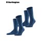 EVERYDAY UNI Burlington Herrensocke - 6121 marine