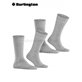 EVERYDAY UNI Burlington Socken für Herren - 3400 light grey