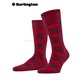 DANNY Herrensocken von Burlington - 8033 cranberry