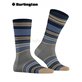 STRIPE Burlington Socken für Herren - 3070 dark grey mel.