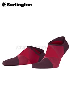 Clyde (3er Pack)