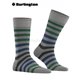 BLACKPOOL Burlington Socken für Herren - 3391 marengo