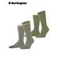 EVERYDAY STRIPE MIX Herrensocken von Burlington - 7472 salvia