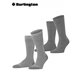 EVERYDAY STRIPE MIX Herrensocken von Burlington - 3390 light grey mel.