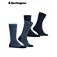 EVERYDAY STRIPE MIX Burlington Socken für Herren - 6120 marine