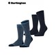 EVERYDAY STRIPE MIX Herrensocken von Burlington - 6120 marine