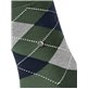 MANCHESTER Burlington Herrensocken - 7982 mountain green