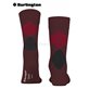 DUNDEE Burlington Herrensocken - 8005 merlot