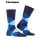 CLYDE Burlington Socken für Herren - 6120 marine