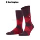 CLYDE Burlington Socken - 8375 claret