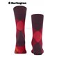 CLYDE Burlington Socken für Herren - 8375 claret