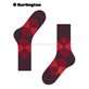 CLYDE Herrensocken von Burlington - 8375 claret