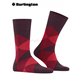 CLYDE Burlington Herren-Socken - 8375 claret