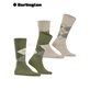 EVERYDAY ARGYLE Burlington Socken für Herren - 7472 salvia