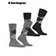 EVERYDAY ARGYLE Burlington Herren-Socken - 3390 light grey mel.
