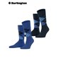 EVERYDAY ARGYLE Burlington Herrensocken - 6046 deep blue