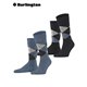 Everyday Argyle (2 Paar)