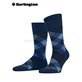 NEWCASTLE Burlington Socken - 6879 royal