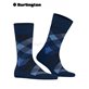 NEWCASTLE Burlington Herren-Socken - 6879 royal