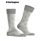 PAISLEY Burlington Herren-Socken - 3400 light grey