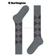PRESTON Burlington Knie-Socken - 3400 light grey