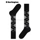 PRESTON Burlington Knie-Socken - 3880 pearl