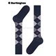 PRESTON Burlington Knie-Socken - 6125 marine