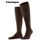 DUBLIN Burlington Knie-Socken - 5043 chocolate