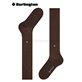 DUBLIN Burlington Herren-Kniesocken - 5043 chocolate