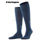 DUBLIN Burlington Knie-Socken - 6120 marine