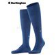 DUBLIN Burlington Herren-Socken - 6583 night blue