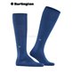 DUBLIN Burlington Kniesocken für Herren - 6583 night blue