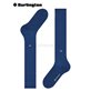 DUBLIN Burlington Herren-Kniesocken - 6583 night blue