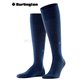 LEEDS Burlington Knie-Socken - 6120 marine