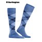MANCHESTER Burlington Kniesocken für Herren - 6550 water