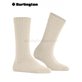 ORKNEY Burlington Socken für Damen - 4019 cream
