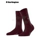 Marylebone Glitter (3er Pack)