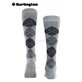 WHITBY Kniesocken von Burlington - 3397 grau