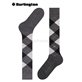 MARYLEBONE Burlington Damen-Kniesocken - 3180 asphalt mel.