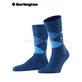 PRESTON Burlington Herrensocken - 6000 royal blue
