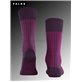 OXFORD STRIPE Falke Socken für Herren - 8282 aubergine OXFORD STRIPE Falke Socken für Herren - 8282 aubergine